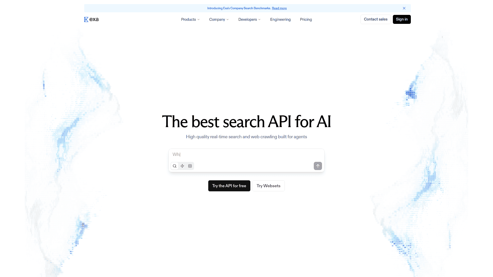 Exa screenshot
