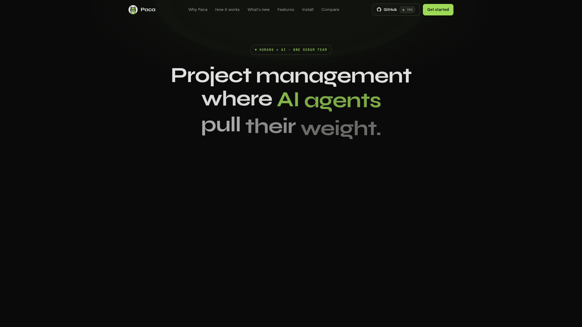 Paca screenshot