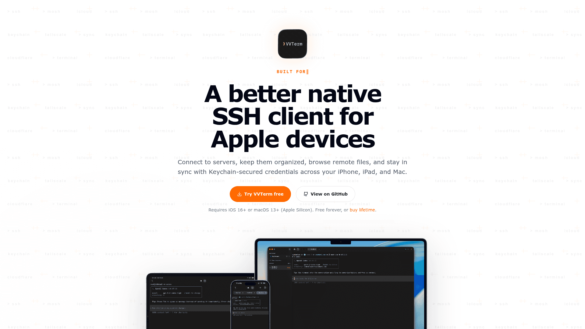 VVTerm screenshot