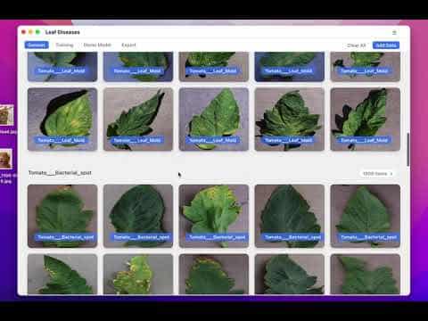 Liner Demo Video