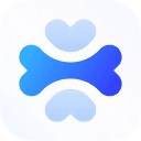 Apidog icon