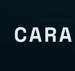 Cara tool icon