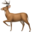 DeerFlow tool icon