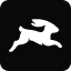 Directus icon