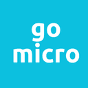 Go Micro tool icon
