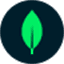 MongoDB tool icon
