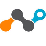 Netskope icon