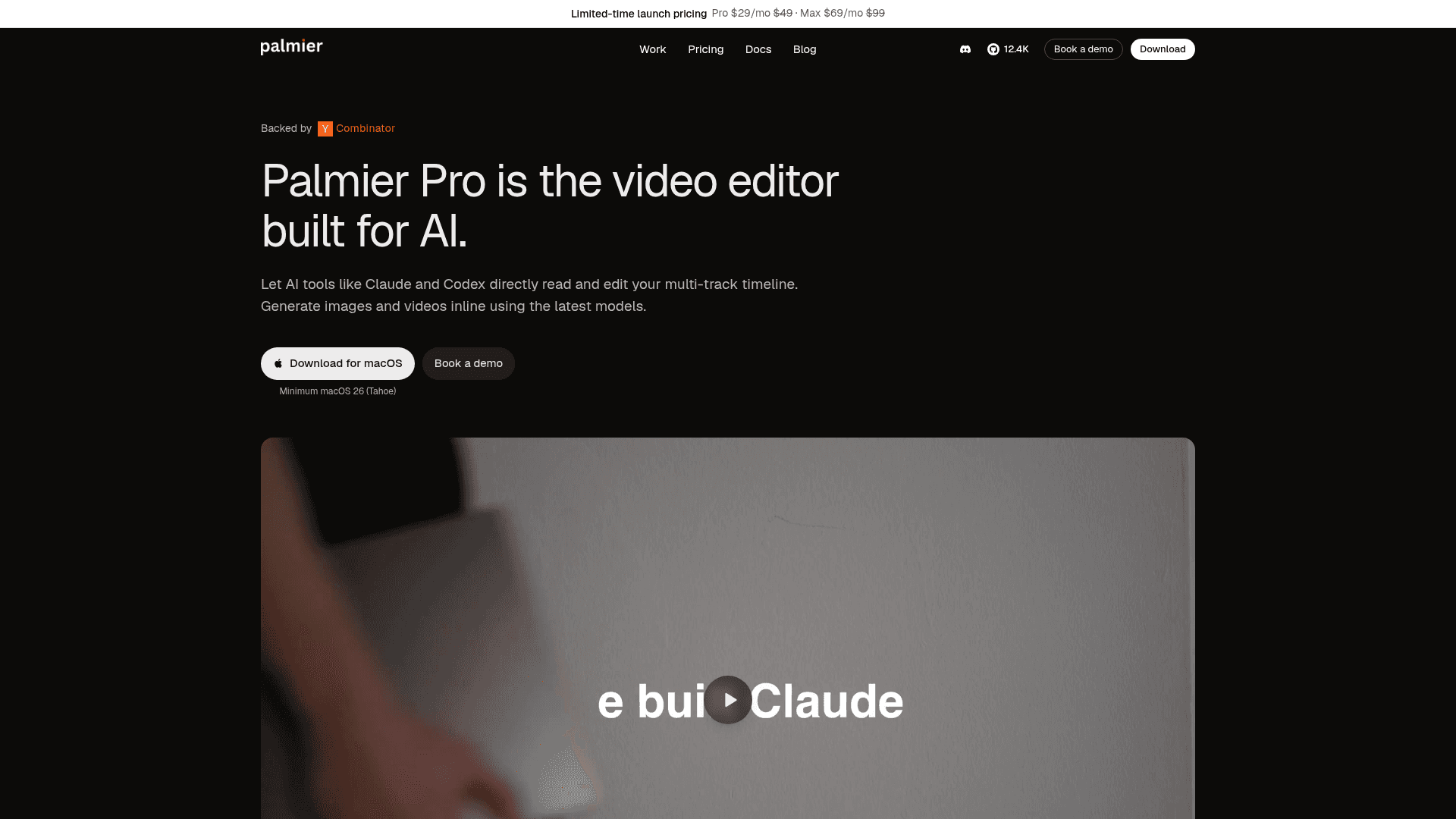 Palmier Pro - 1