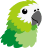 ParakeetAI icon