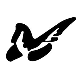Prime Intellect icon
