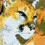 pumaDB icon