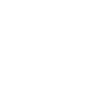 Rod icon