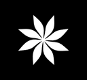 Serca tool icon