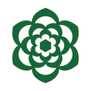 Sierra tool icon