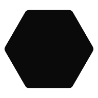 Solid icon