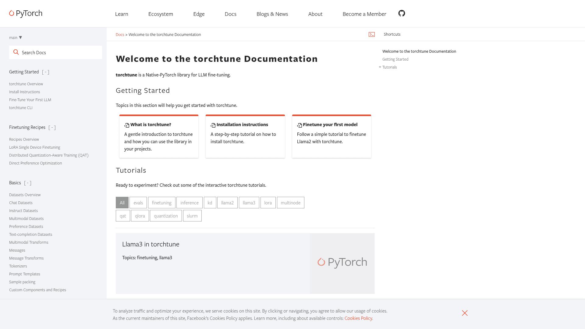 torchtune - 1