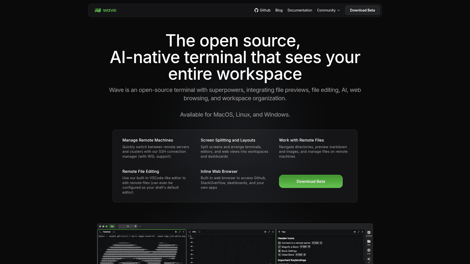 Wave Terminal - 1