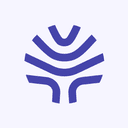 Willow Voice tool icon