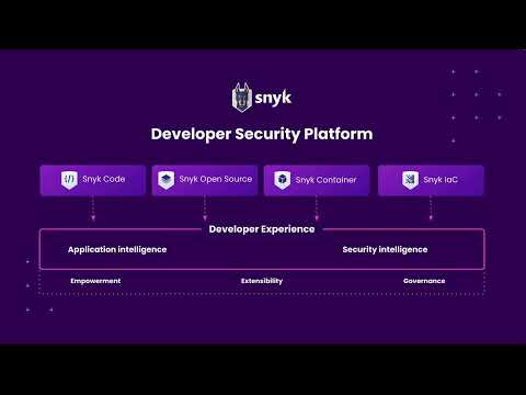 Snyk Demo Video