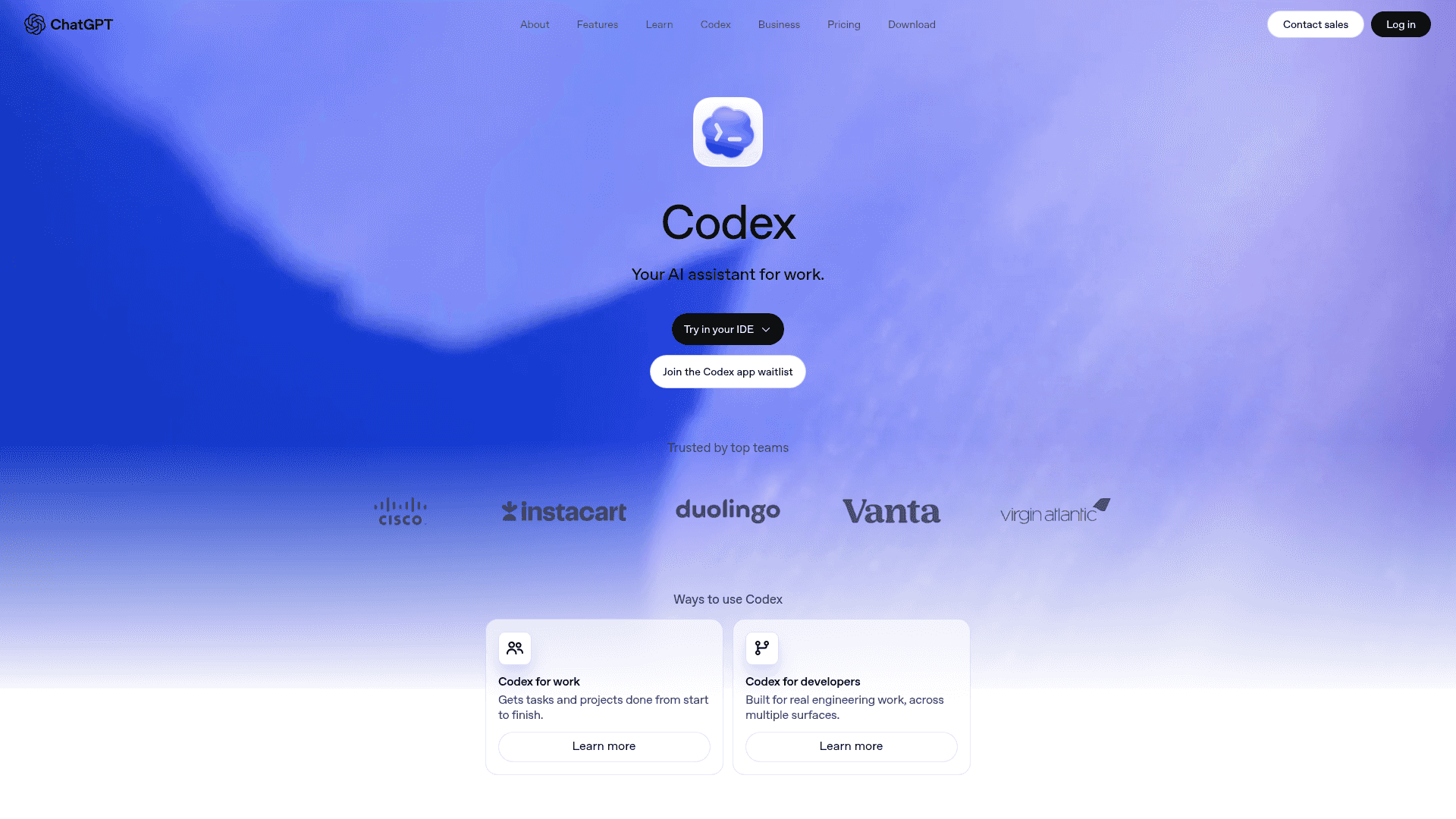 Codex screenshot