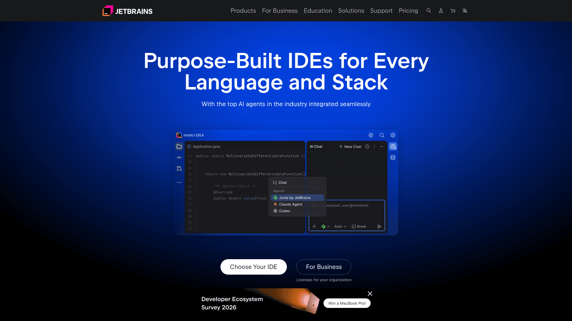 JetBrains Junie - 1