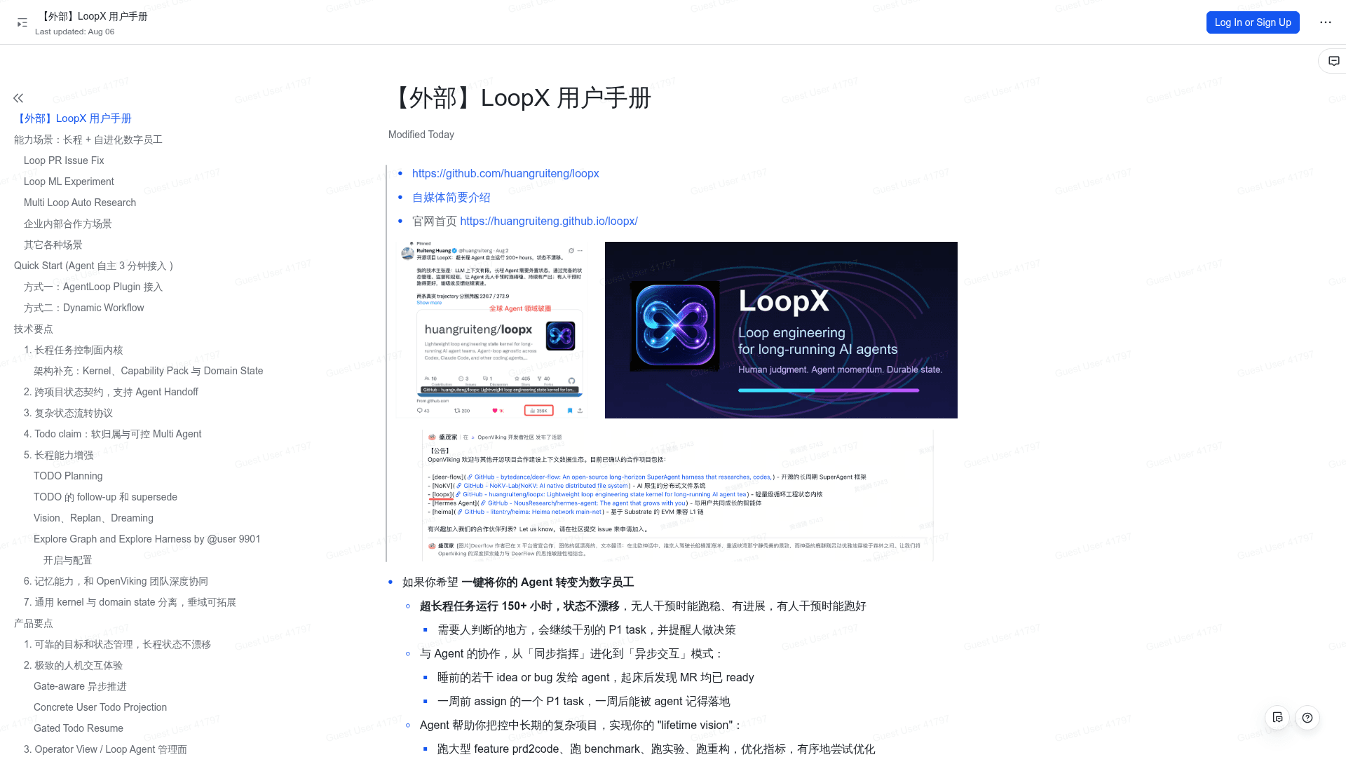 LoopX - 1