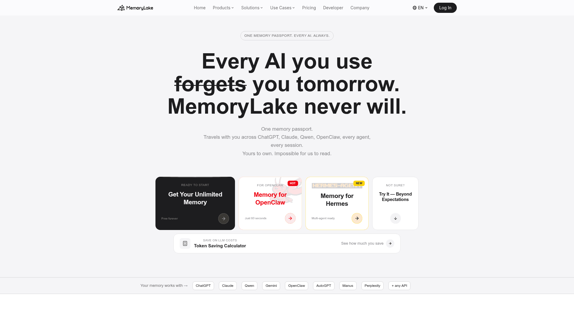 MemoryLake - 1