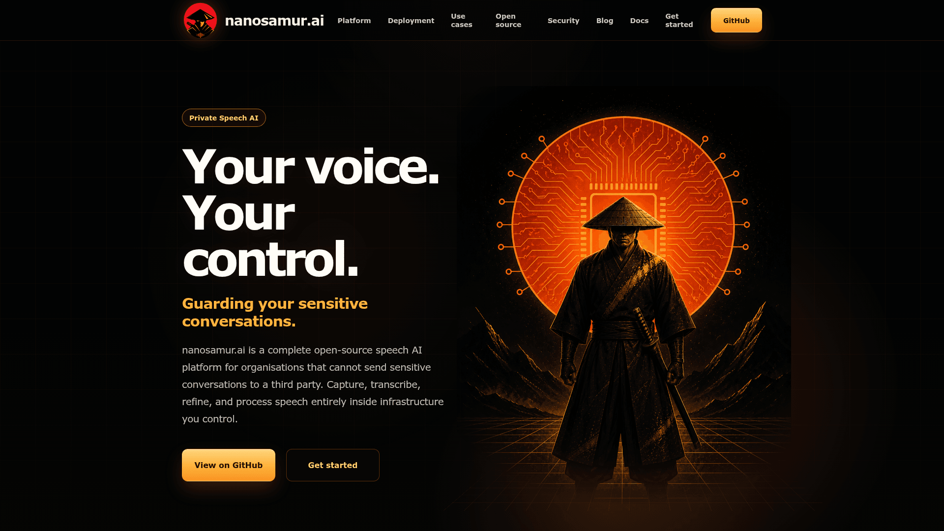 nanosamur.ai - 1