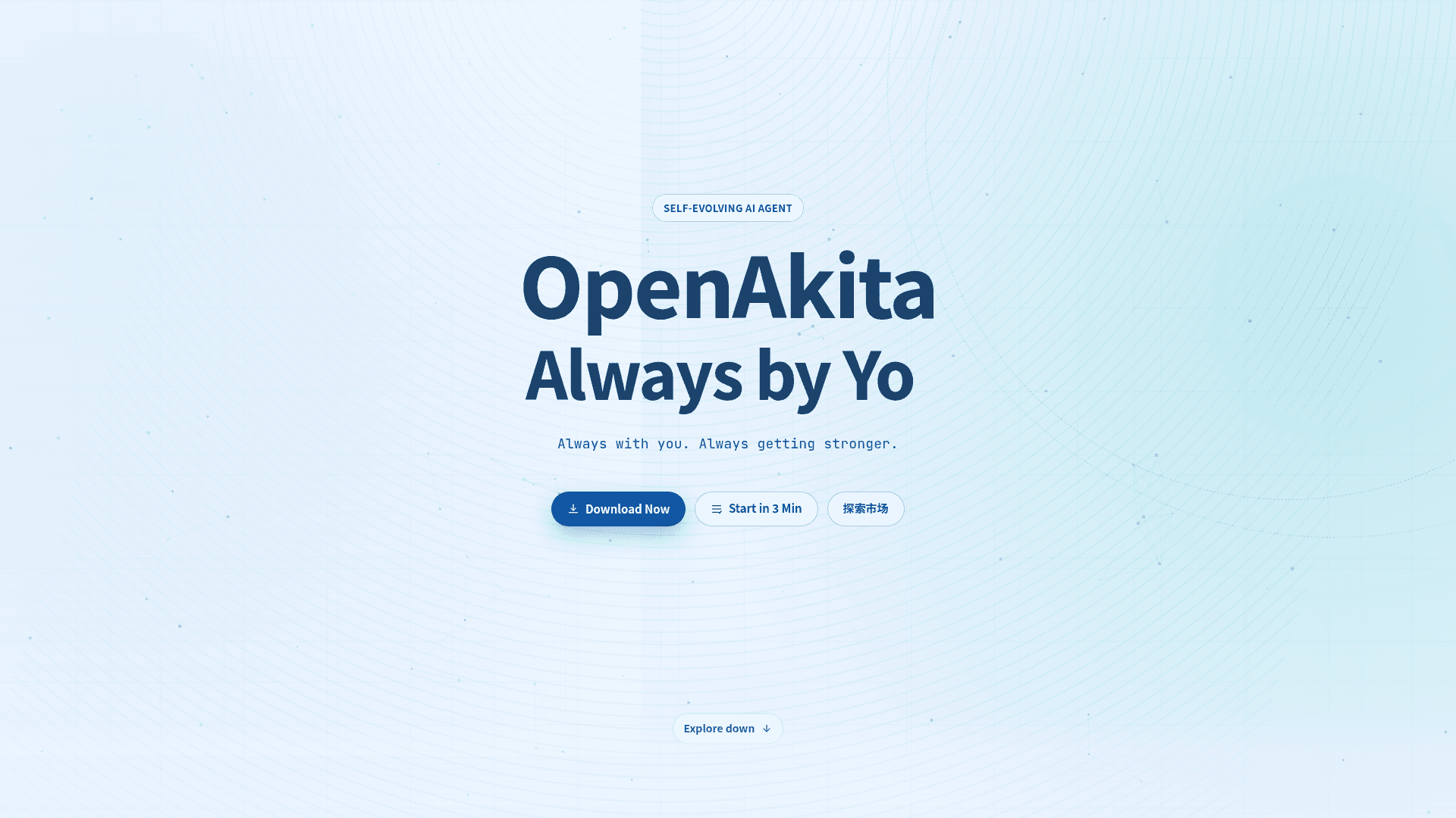 OpenAkita - 1