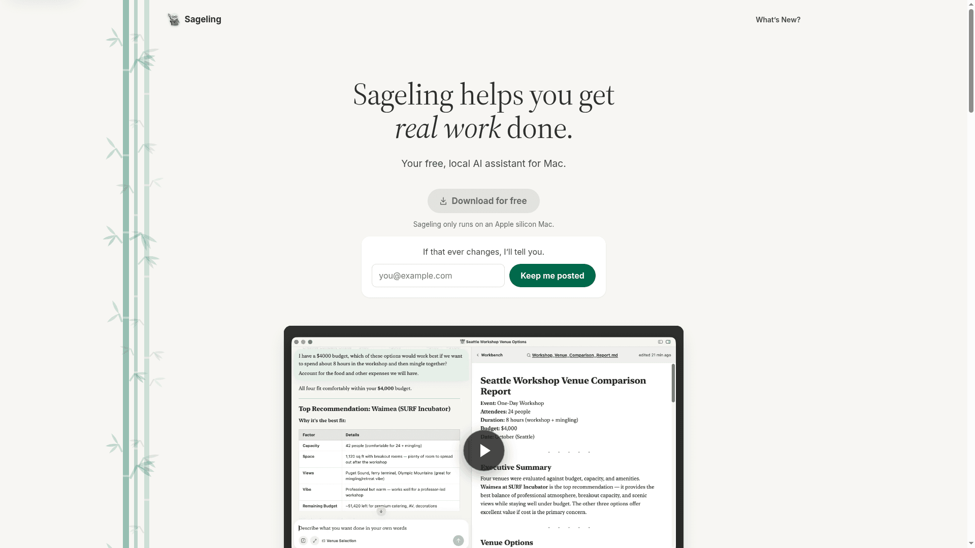 Sageling - 1