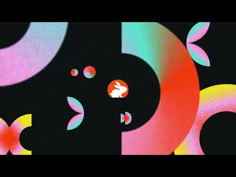 CodeRabbit Demo Video