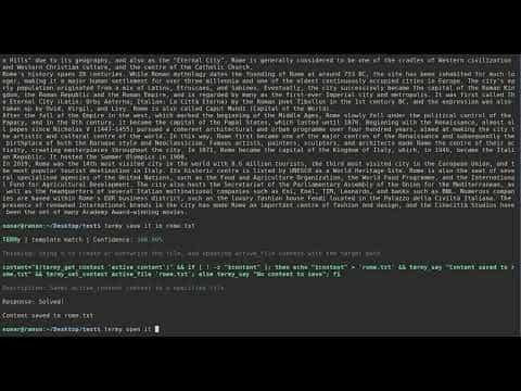 NPC-Forge Demo Video