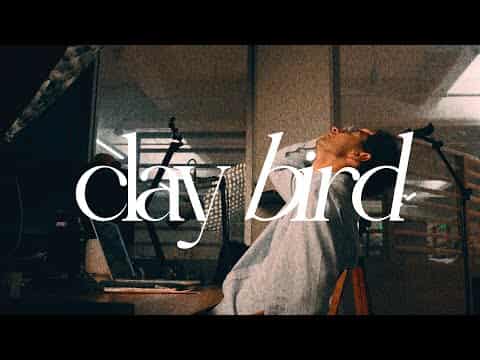 Claybird Demo Video